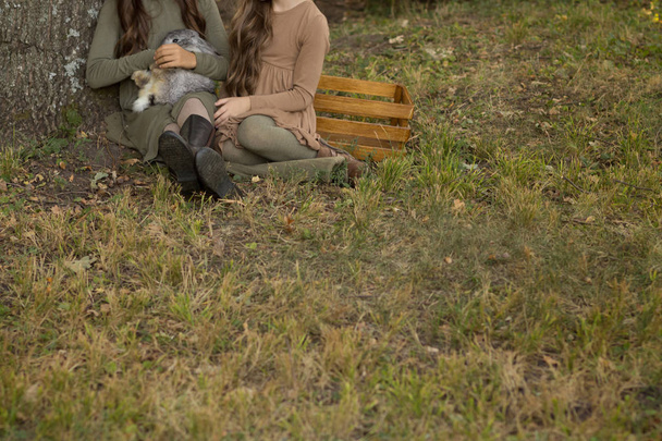 two girls sit under a tree on the grass and stroke a gray rabbit. pastel tones of beige and green. autumn or spring - Foto, Imagen