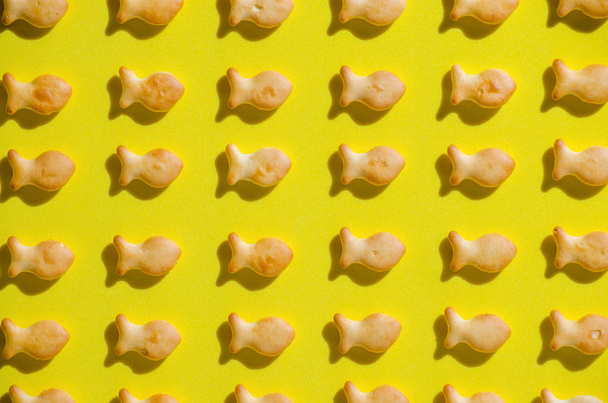 Cookies in form fish, yellow background, in bright sun with hard shadows.close up - 写真・画像