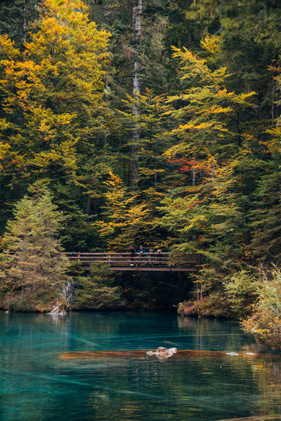 Autumn time at romantic forest lake Blausee, one of the best known mountain lakes in Switzerland. - Photo, Image