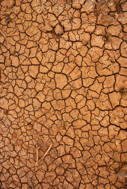 superfície seca do solo rachado
 - Foto, Imagem