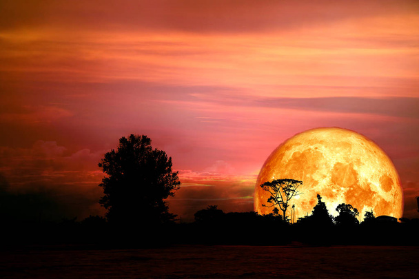half blood moon back over silhouette branch tree in field on evening sky, Elements of this image furnished by NASA - Photo, Image
