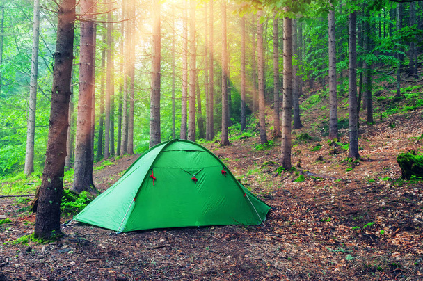 zöld sátor a tavaszi erdőben  - Fotó, kép