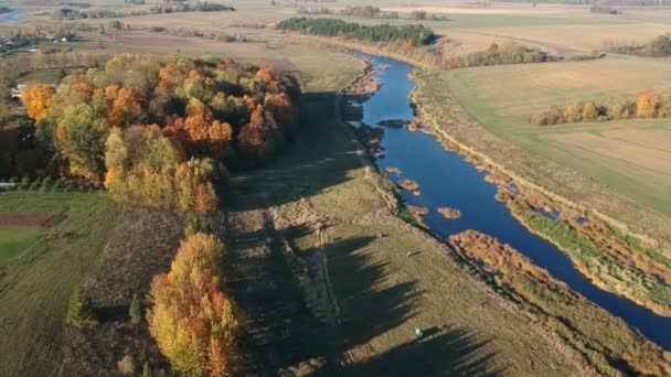 niebieski jesień rzeki i farm pola z golden gaje, widok z lotu ptaka - Materiał filmowy, wideo