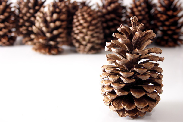 Conos de pino de Navidad
 - Foto, imagen