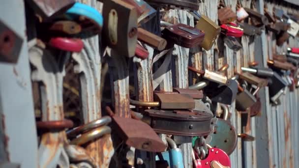 Locks on the fence of bridge - Footage, Video