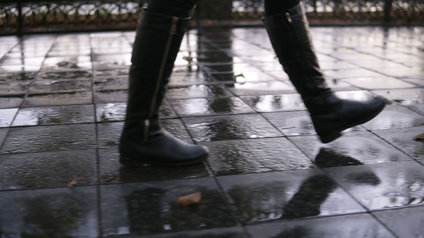 Žena se projít na podzimní park pěšky podél chodníku ulice. Detail nohy a boty. Půvabná dáma nosit černé vysoké boty. Podzimní počasí, rayny, mokré silnici. Boční pohled - Záběry, video