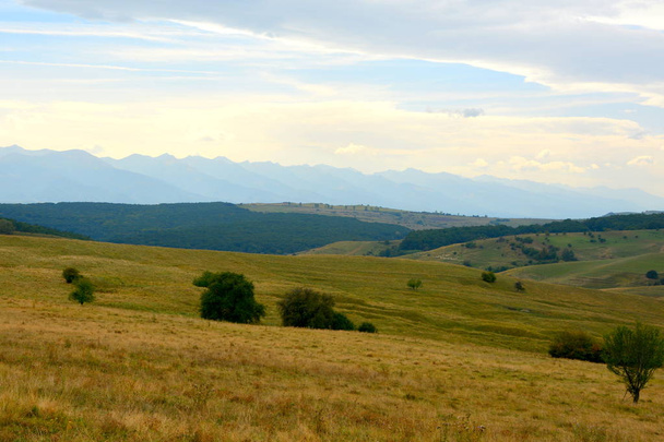 Paisaje rural típico en las llanuras de Transilvania, Rumania. Paisaje verde en pleno verano, en un día soleado - Foto, Imagen