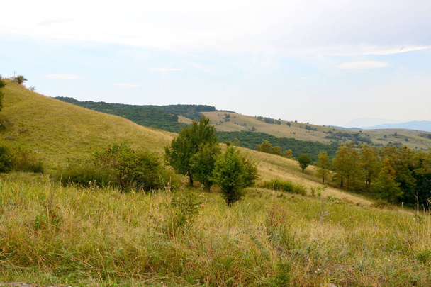 Tipico paesaggio rurale nelle pianure della Transilvania, Romania. Paesaggio verde in piena estate, in una giornata di sole - Foto, immagini