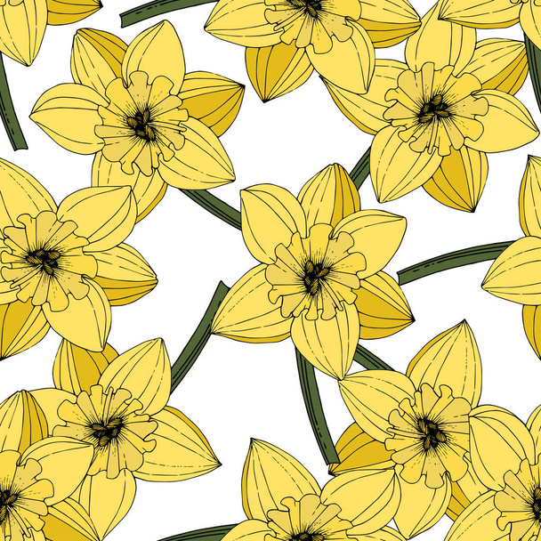 Διάνυσμα λουλούδια του Νάρκισσου. Κίτρινα χαραγμένα μελάνι τέχνης. Χωρίς ραφή πρότυπο. Ταπετσαρία ύφασμα εκτύπωση υφής σε λευκό φόντο. - Διάνυσμα, εικόνα