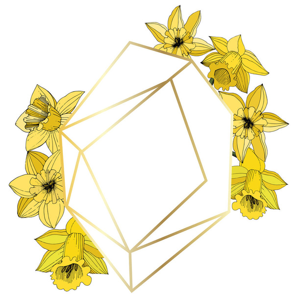 Διάνυσμα λουλούδια του Νάρκισσου. Κίτρινα χαραγμένα μελάνι τέχνης. Πλαίσιο συνόρων στολίδι σε λευκό φόντο πολύεδρο μωσαϊκό σχήμα. - Διάνυσμα, εικόνα