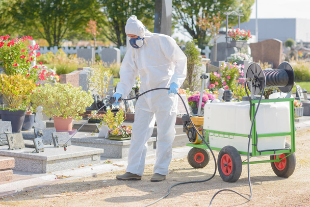 professional gardender weeding a cemetary - Foto, Bild