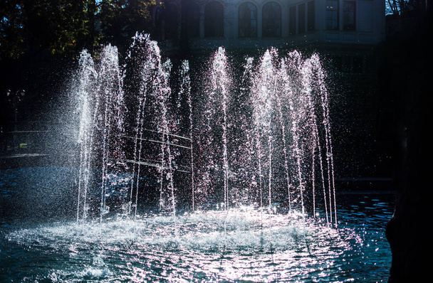 Фонтаны льются газированной водой в бассейне в парке - Фото, изображение