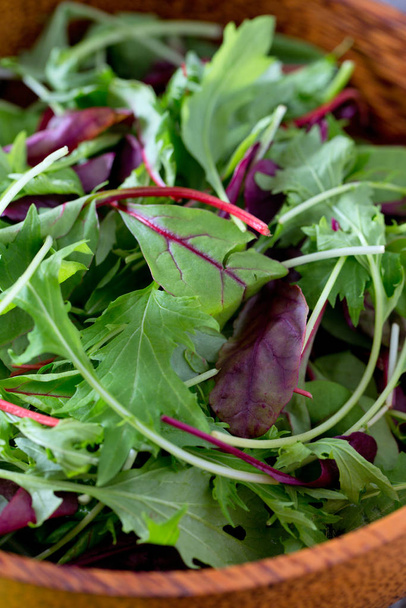 lettuce salad mix in bowl - Фото, изображение