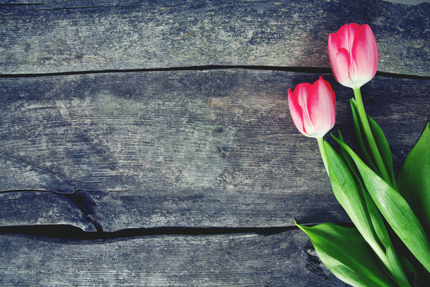 pink tulips on wooden surface - Fotografie, Obrázek