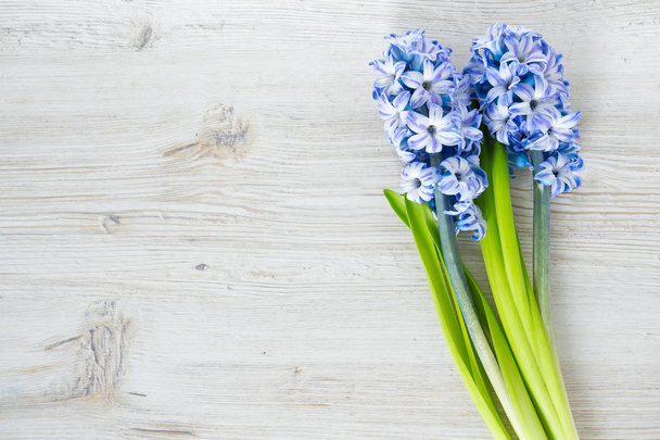 μπλε ριγέ λουλούδια υάκινθων σε ξύλινη επιφάνεια - Φωτογραφία, εικόνα