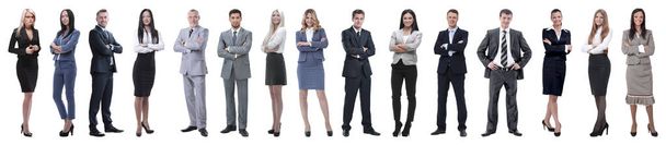 Young attractive business people - the elite business team - Photo, Image