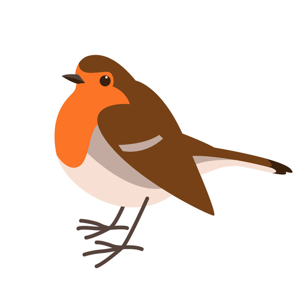 robin bird , vector illustration ,flat   - Vector, Image