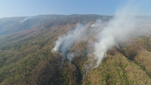 Dağlarda orman yangını - Fotoğraf, Görsel