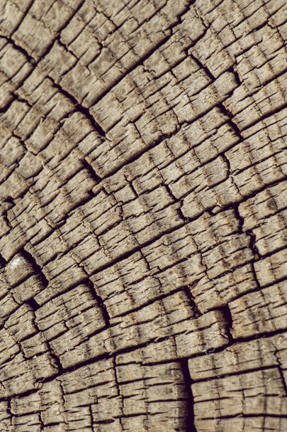 Tekstura drewna z naturalnych wzorów jako tło - Zdjęcie, obraz