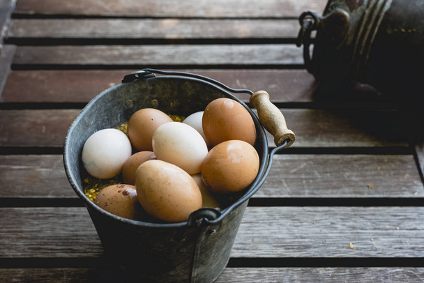 Balde de metal cheio de ovos de galinha orgânicos
 - Foto, Imagem