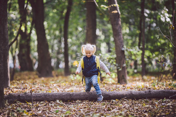 Tematu dzieci na świeżym powietrzu. Śmieszne małe dziecko kaukaski blond dziewczyna spacery po lesie, pokonywanie przeszkód, drzewa spadł, dziennika. Duży plecak śmieszne w jesień las park dla dzieci - Zdjęcie, obraz
