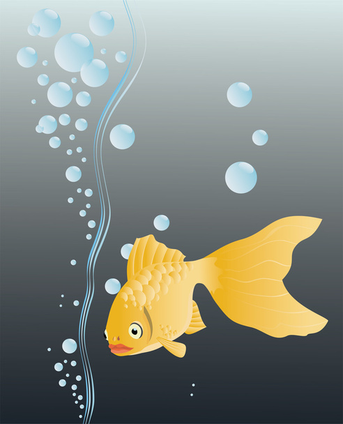 Goldfish - Vector, Image