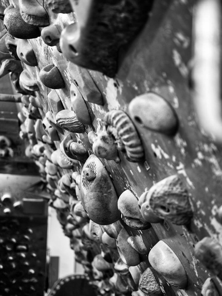 Kapalı Rock tırmanma tutun, siyah ve beyaz fotoğraf - Fotoğraf, Görsel