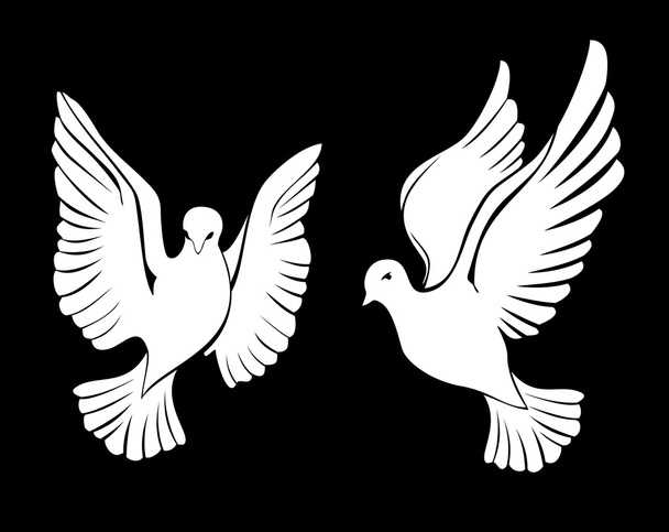 colombe - Vecteur, image
