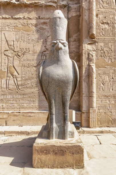De Falcon God Horus in Edfu tempel, gelegen aan de westoever van de Nijl, Edfu, Opper-Egypte - Foto, afbeelding