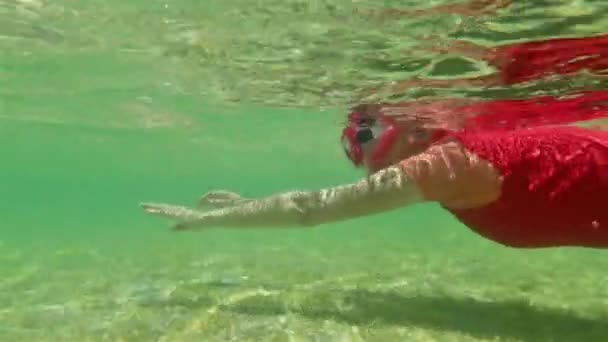 Snorkeler nő a cápa-öbölben - Felvétel, videó