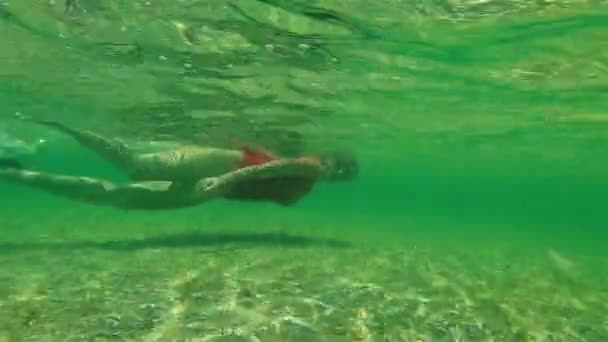 Θηλυκό snorkeler σε Κόλπος καρχαριών - Πλάνα, βίντεο