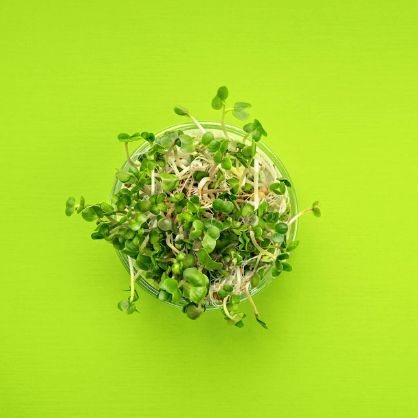 Green flat lay vegetables concept. micro greens - Photo, Image