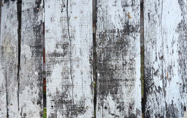 Old wooden background painted with white paint. - Photo, image