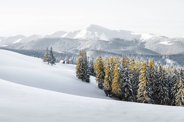 Paysage hivernal fantastique - Photo, image