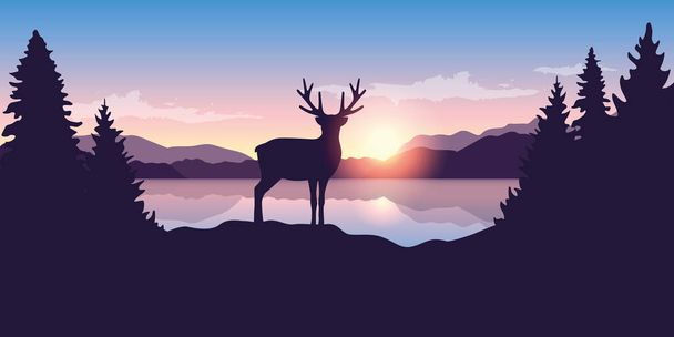 rénszarvas a tó napkeltekor vadvilág természet táj - Vektor, kép