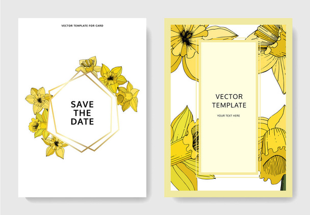Vector Narcissus flowers. Wedding cards with floral decorative borders. Yellow engraved ink art. Thank you, rsvp, invitation elegant cards illustration graphic set banners. - Vector, Image