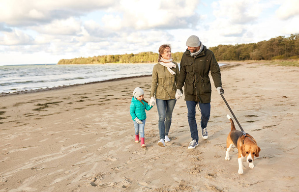 happy family walking with beagle dog on beach - Foto, immagini