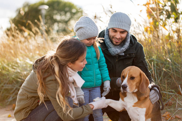szczęśliwa rodzina z psem beagle na świeżym powietrzu jesienią - Zdjęcie, obraz