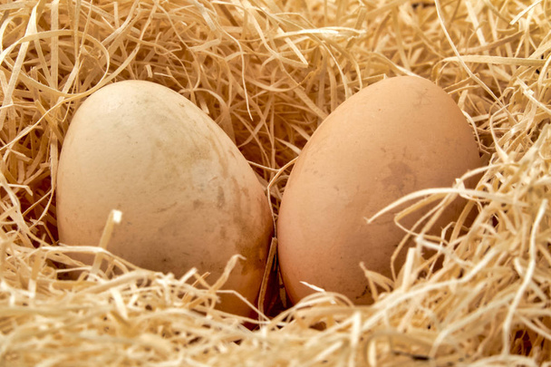  Primer plano de un par de huevos en un nido de paja - Foto, imagen