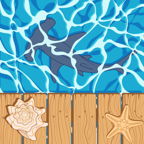 Marine color background with a shark hammer, shell and starfish. Summer vector beach background. - Vektör, Görsel