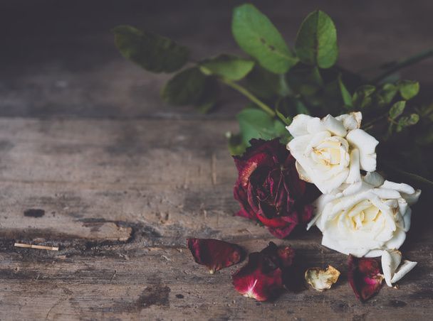 Piękny suche czerwone i białe róże na drewniane tło grunge, Martwa natura - Zdjęcie, obraz