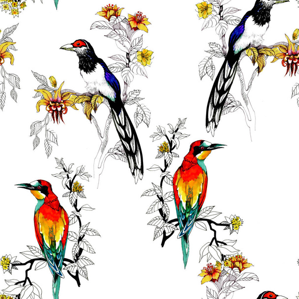 Watercolor Wild exotic birds on flowers seamless pattern - Foto, Imagem