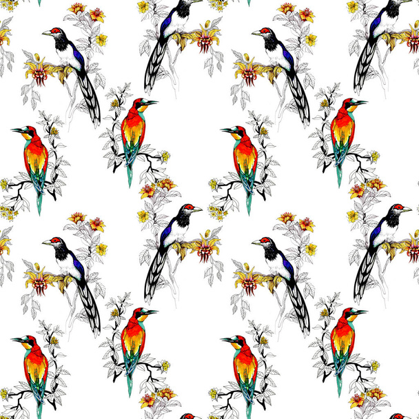 Watercolor Wild exotic birds on flowers seamless pattern - Valokuva, kuva