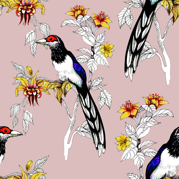 Watercolor Wild exotic birds on flowers seamless pattern - Valokuva, kuva