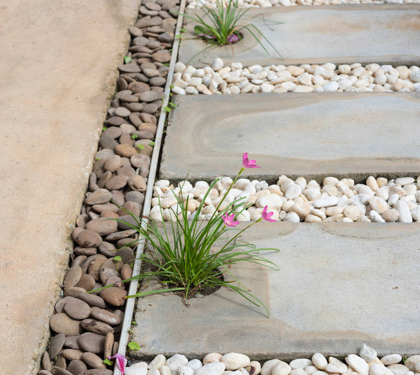 Ландшафтний сучасний простий кам'яний шлях в садовому оздобленні з білою, коричневою галькою і квітами рожевої дощової лілії
 - Фото, зображення