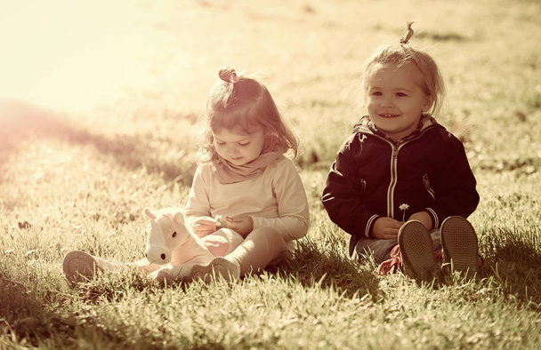 Chlapec a dívka vybrat květiny na zelené trávě - Fotografie, Obrázek