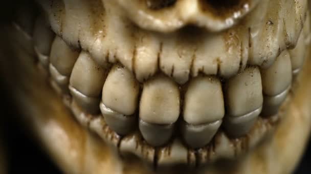 Detalhe de perto em uma mandíbula humana
 - Filmagem, Vídeo