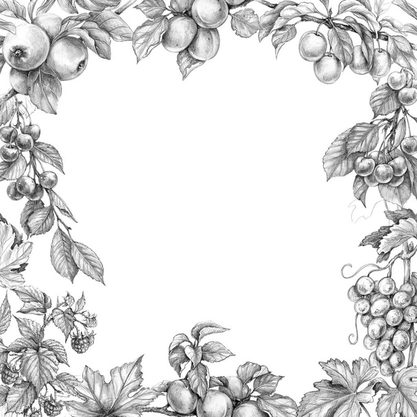 Hand drawn branches of fruit trees and bushes. Monochrome border made with sketch of fruits. Square frame with apple, apricot, grape, plum, raspberry, cherry and space for text. Pencil drawing.  - Foto, Imagem