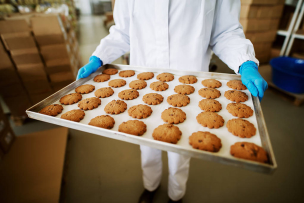 kadın işçi taze tutan gıda üretim Fabrikası'nda teneke üzerinde kurabiyeleri - Fotoğraf, Görsel