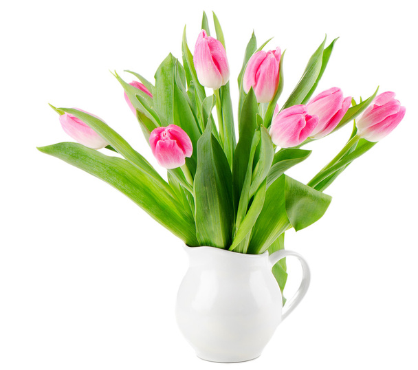 fresh tulips isolated on white background - Φωτογραφία, εικόνα